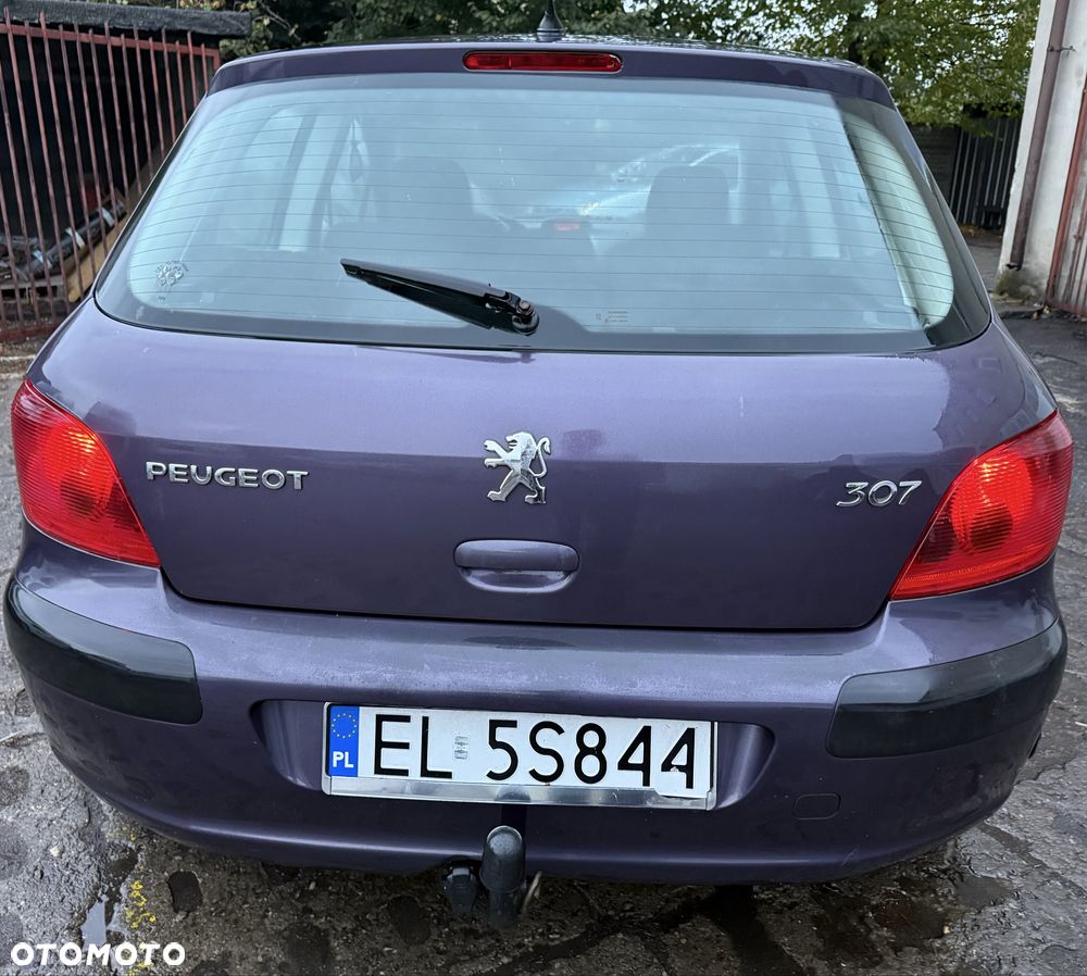 Peugeot 307 - 5