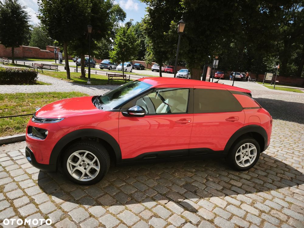 Citroën C4 Cactus 1.2 PureTech Shine S&S EAT6 - 19