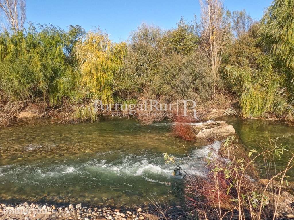 Quinta com 19 ha, restaurante e Moradia T5 em Belmonte - Grande imagem: 2/60