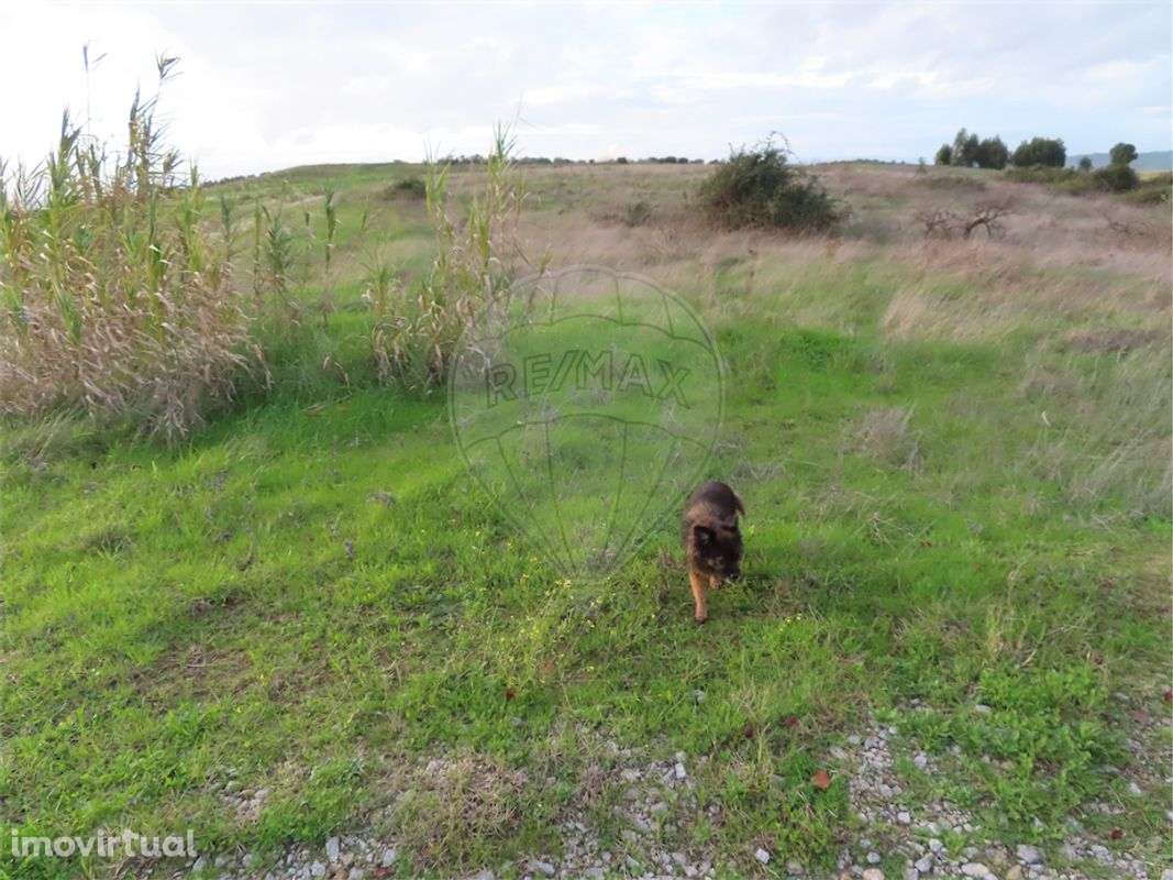 Quinta T0 para venda - Grande imagem: 3/21