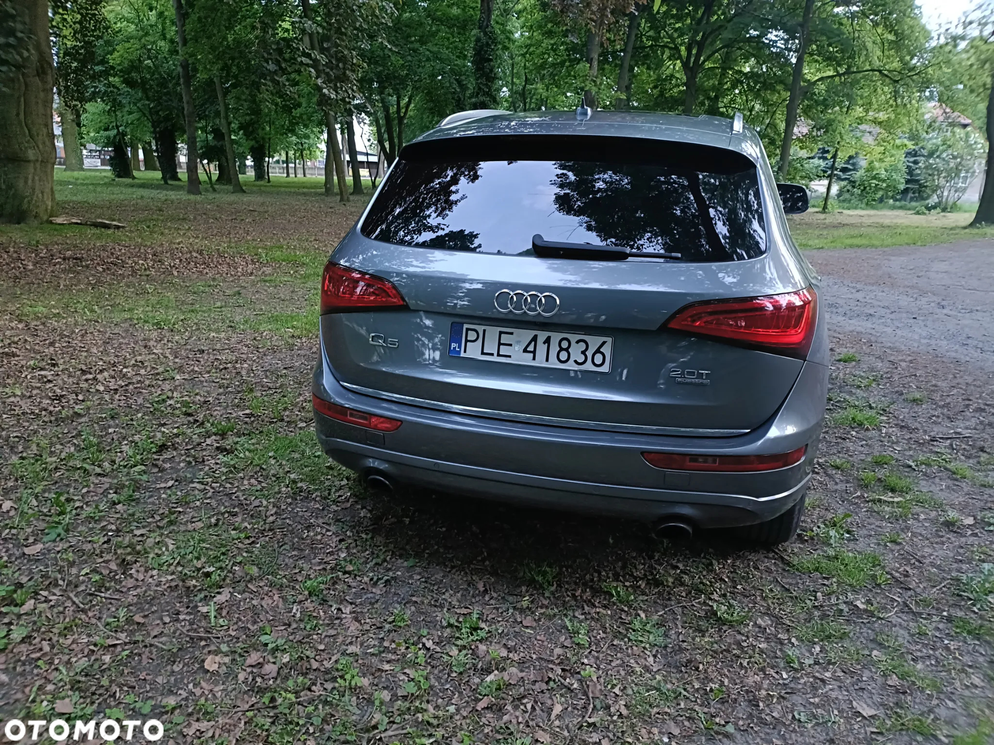 Audi Q5 - 5