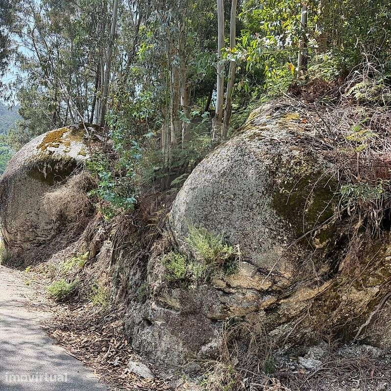 Terreno  para venda - Grande imagem: 3/50
