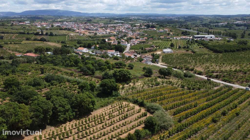 Venda Terreno - Grande imagem: 4/7