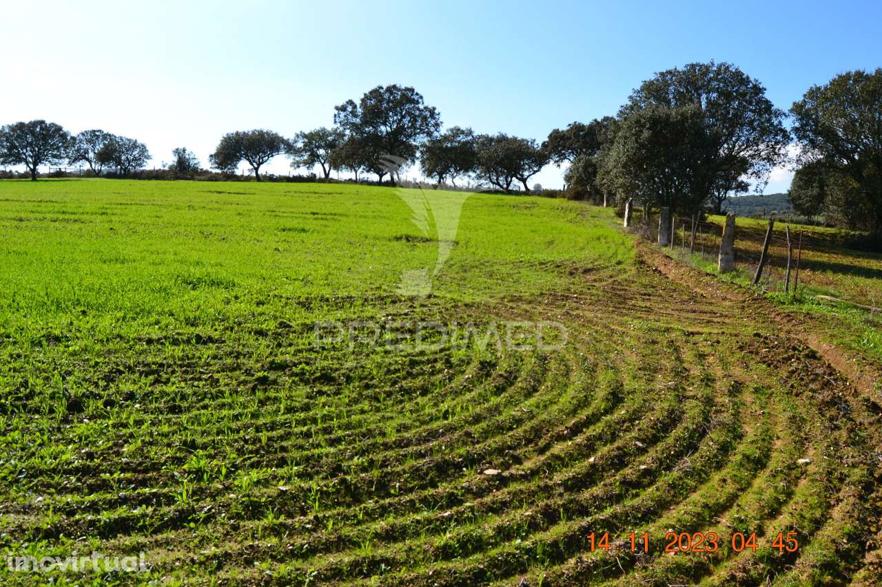 Quinta no Alentejo - Grande imagem: 3/29