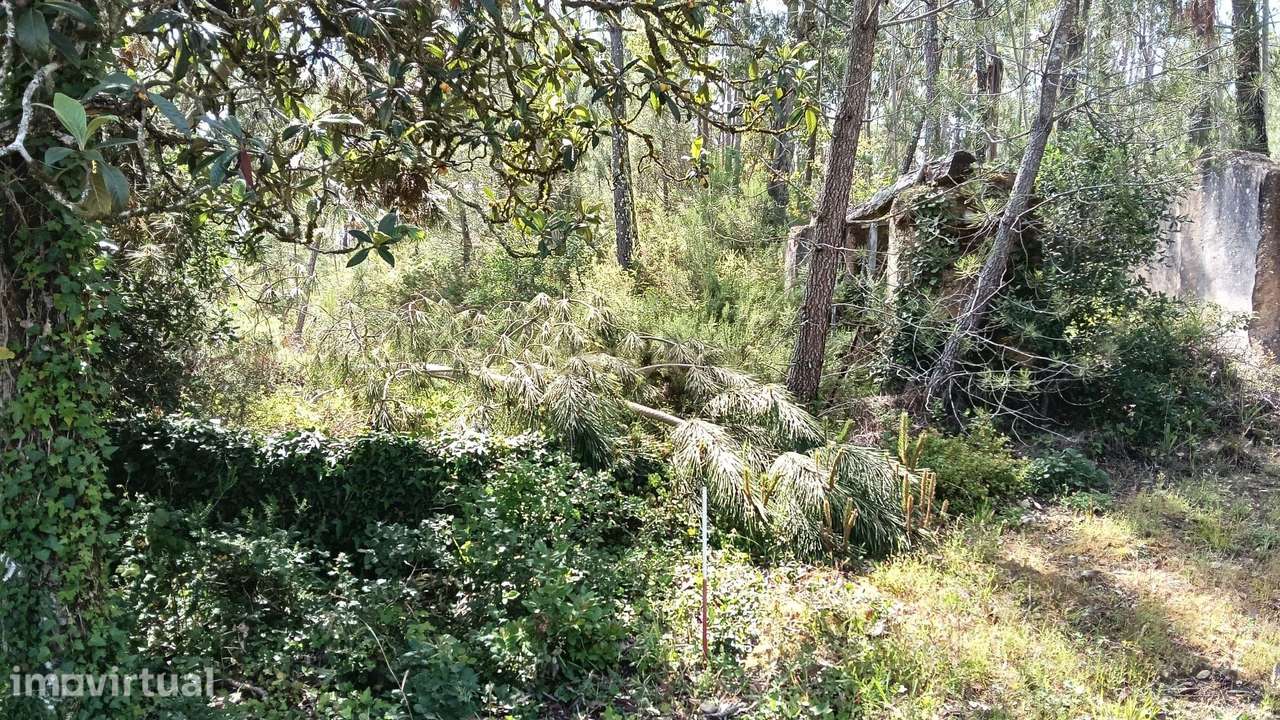 Terreno Agroflorestal em Vila Cã, Pombal - 2575m² com Vista Montanha - Grande imagem: 2/5