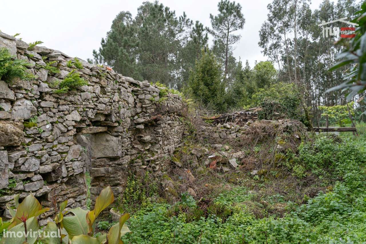 MORADIA T2 PARA RECUPERAR COM AREA COBERTA DE 238 M2 E AREA TOTAL D... - Grande imagem: 5/18