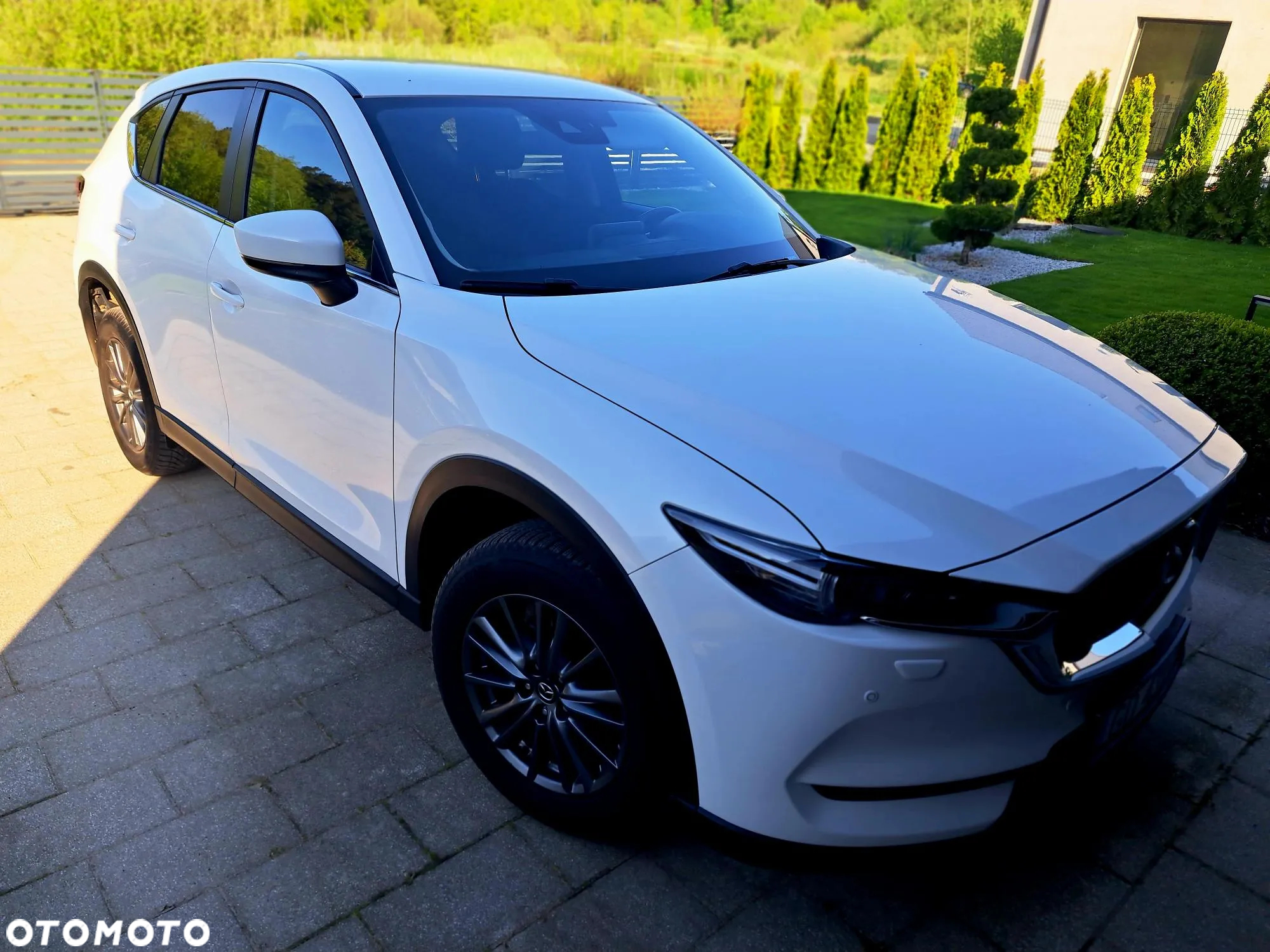 Mazda CX-5 2.0 Skyenergy 2WD - 3
