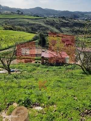 Terreno Rústico com Casa de Madeira e Picadeiro - Grande imagem: 2/29