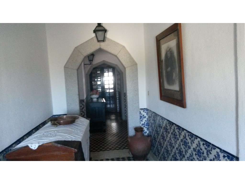 Quinta em Évora com 29.476 m2, sendo 6.476 m2 urbanos (2,976 hectar... - Grande imagem: 5/11