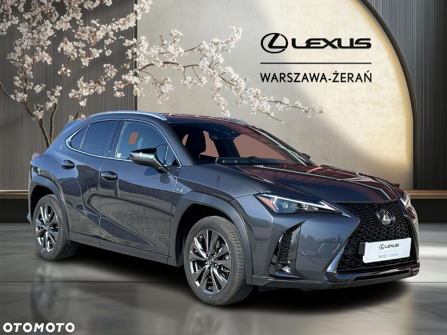 Lexus UX 250h GPF F Sport Design 2WD - 9