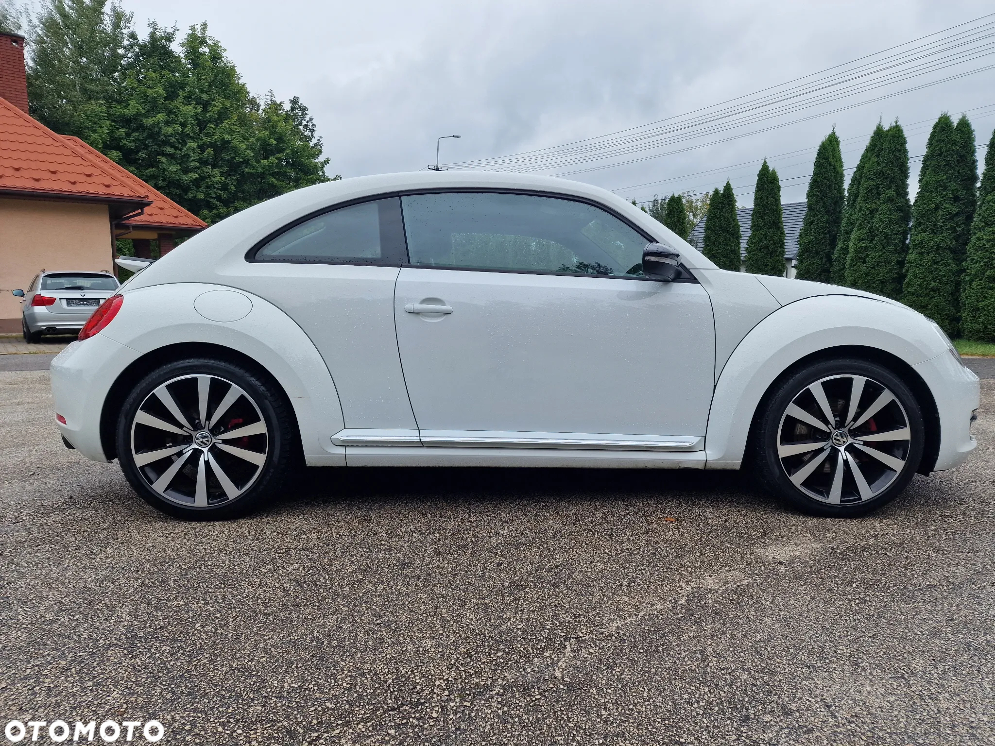 Volkswagen Beetle - 3