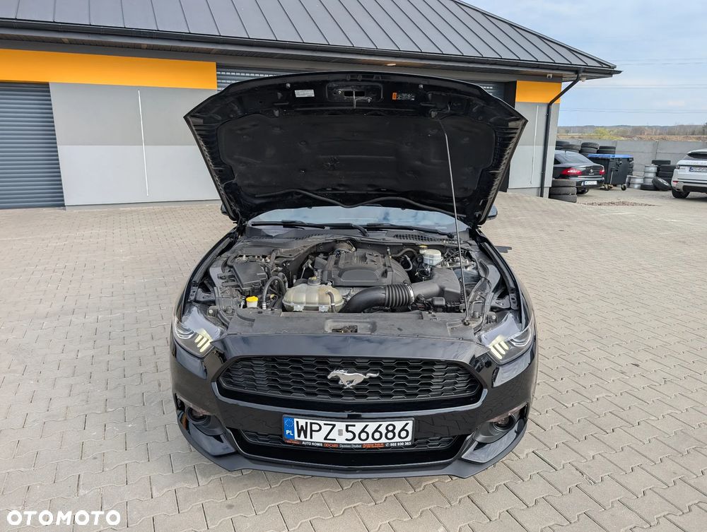 Ford Mustang - 20