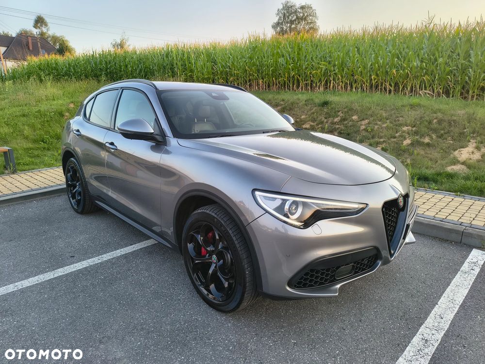 Alfa Romeo Stelvio 2.0 Turbo Executive Q4 - 5