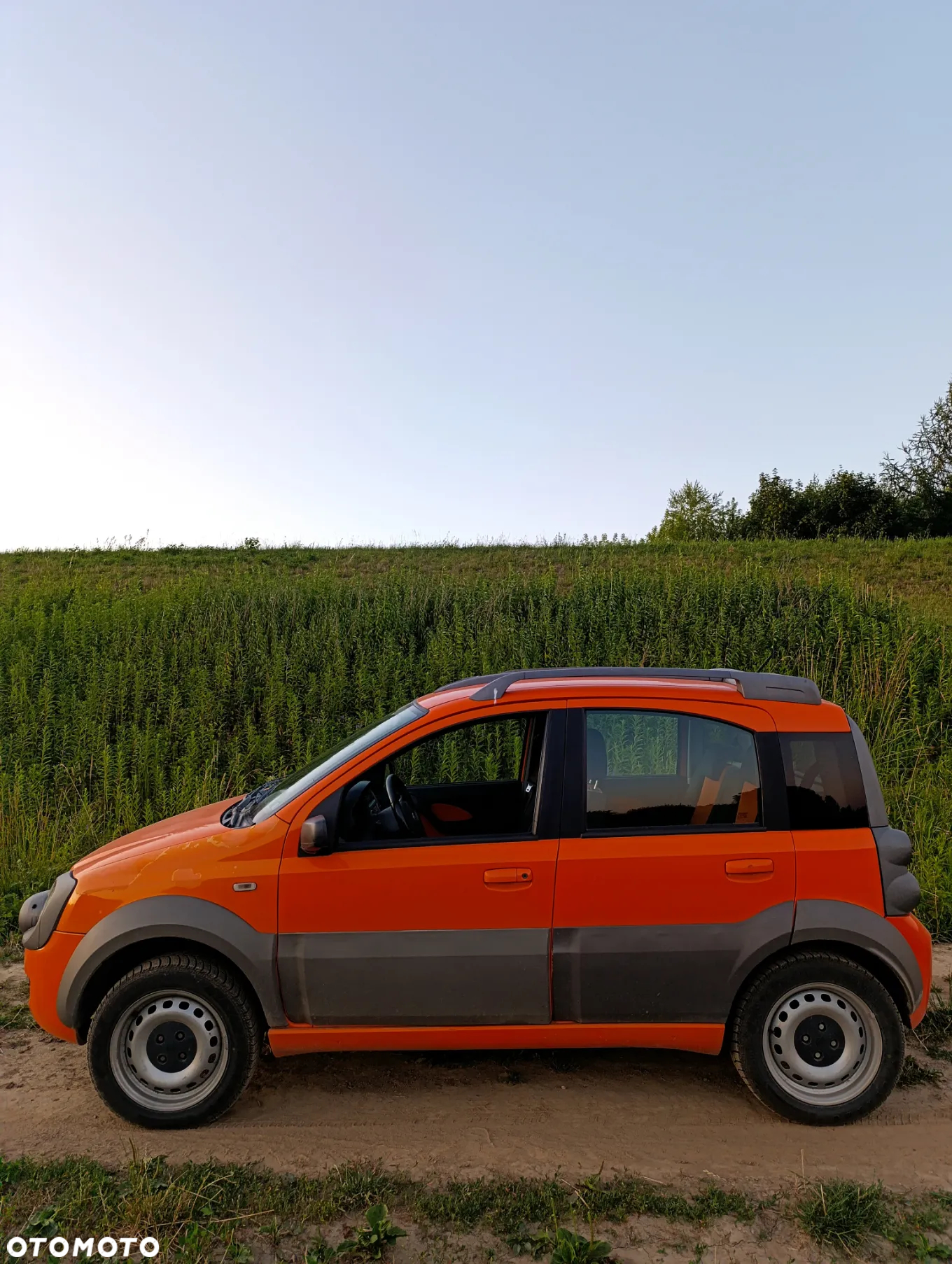 Fiat Panda 1.3 4x4 Multijet Diesel Cross - 8