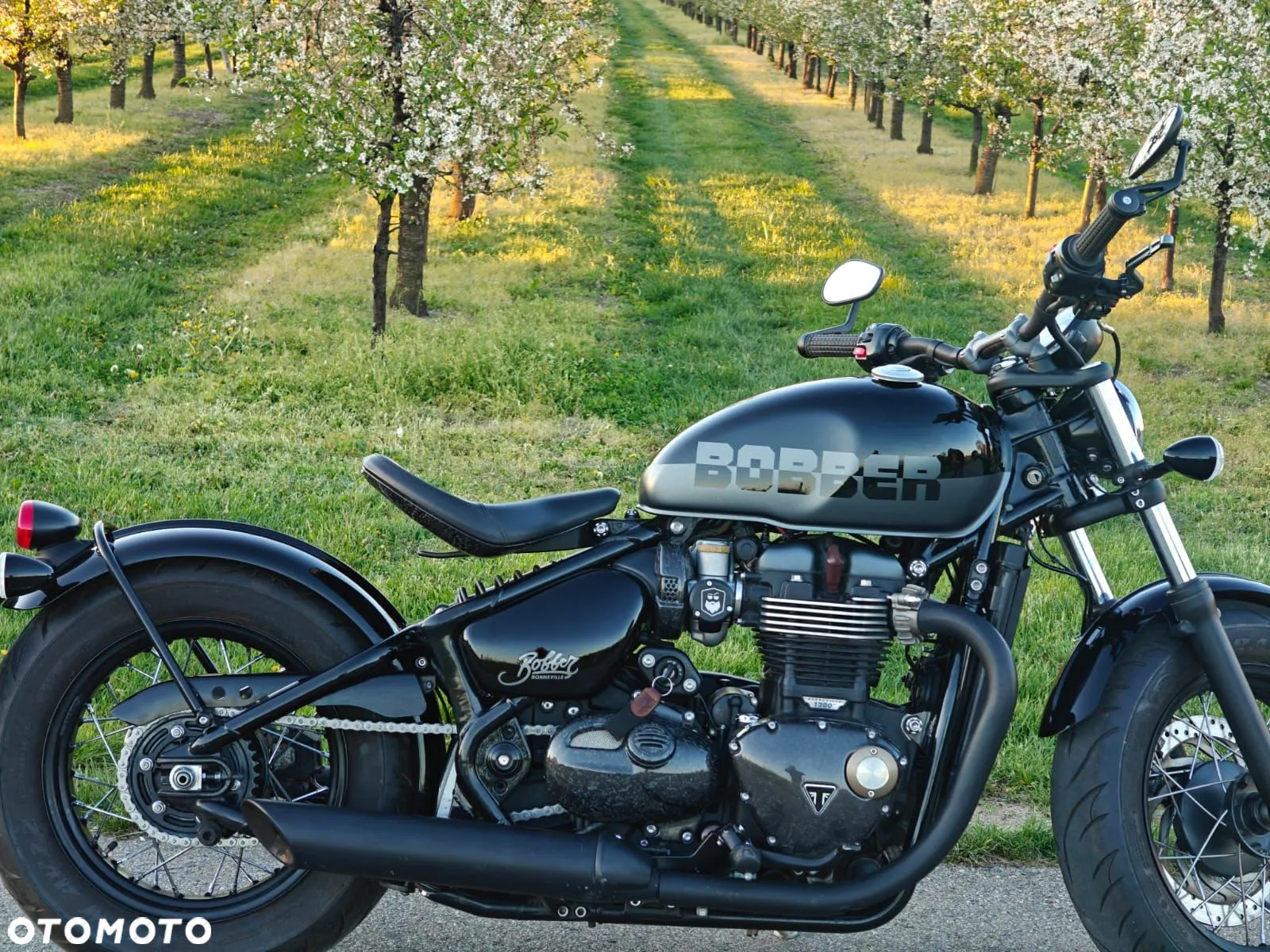 Triumph Bonneville Bobber - 2