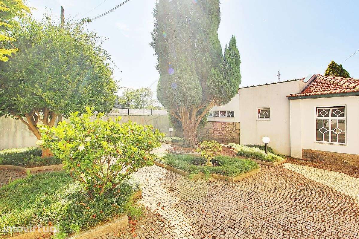 Quinta T5 para venda - Grande imagem: 3/27