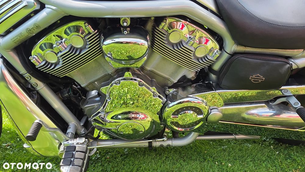 Harley-Davidson Softail V-Rod - 8