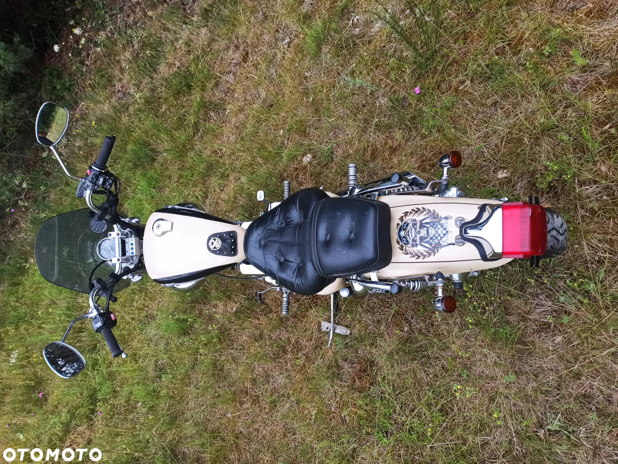 Yamaha Virago - 7