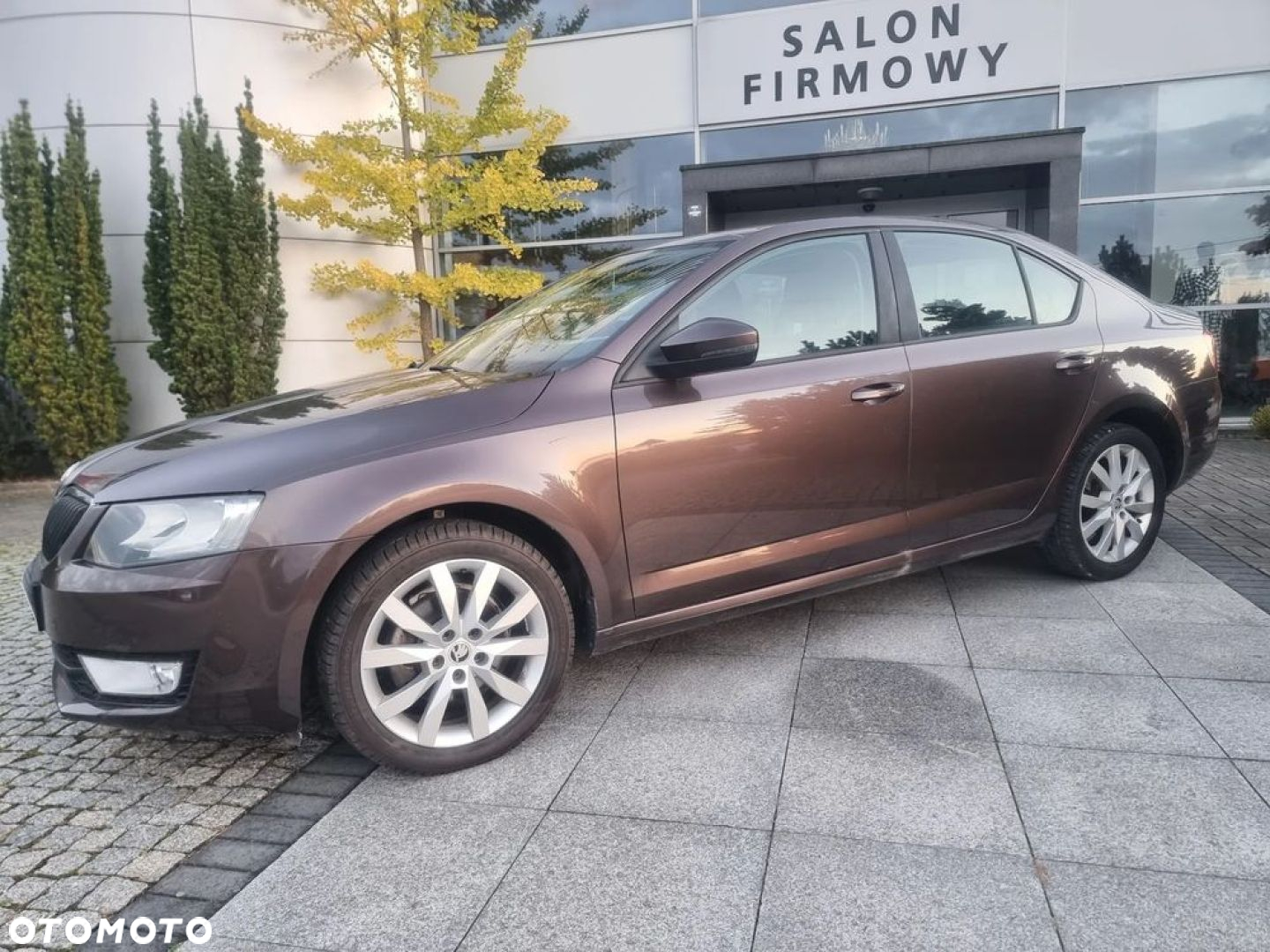 Skoda Octavia 1.6 TDI Elegance - 31