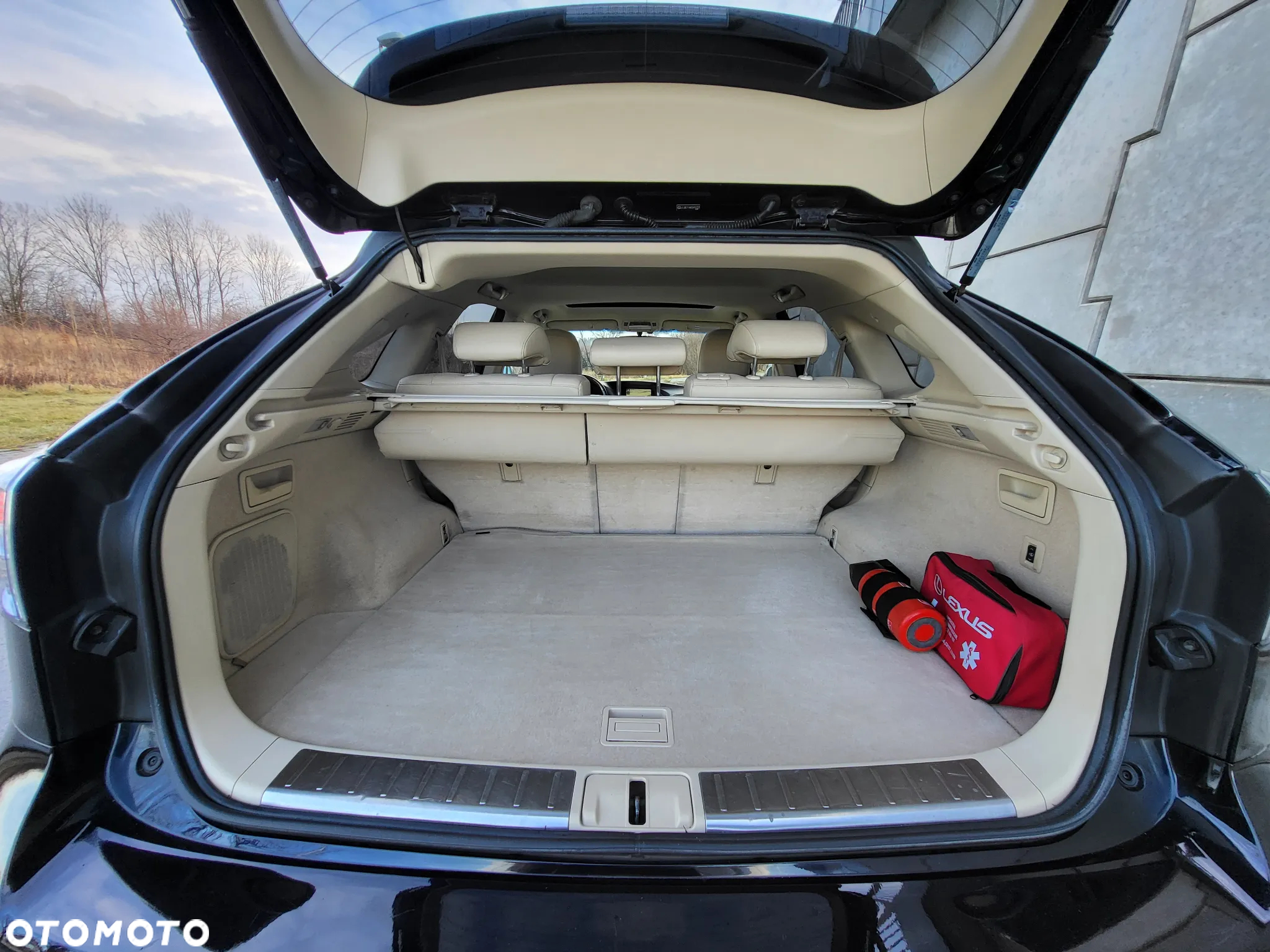 Lexus RX - 27