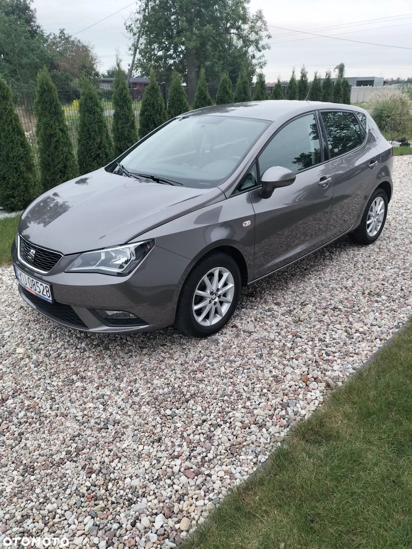 Seat Ibiza - 1