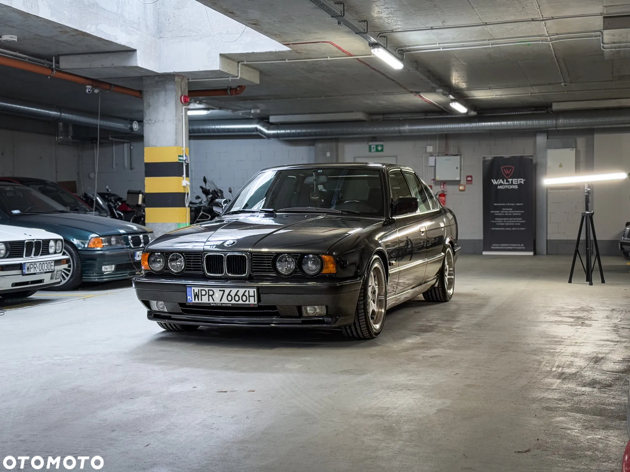 BMW M5 Standard - 6