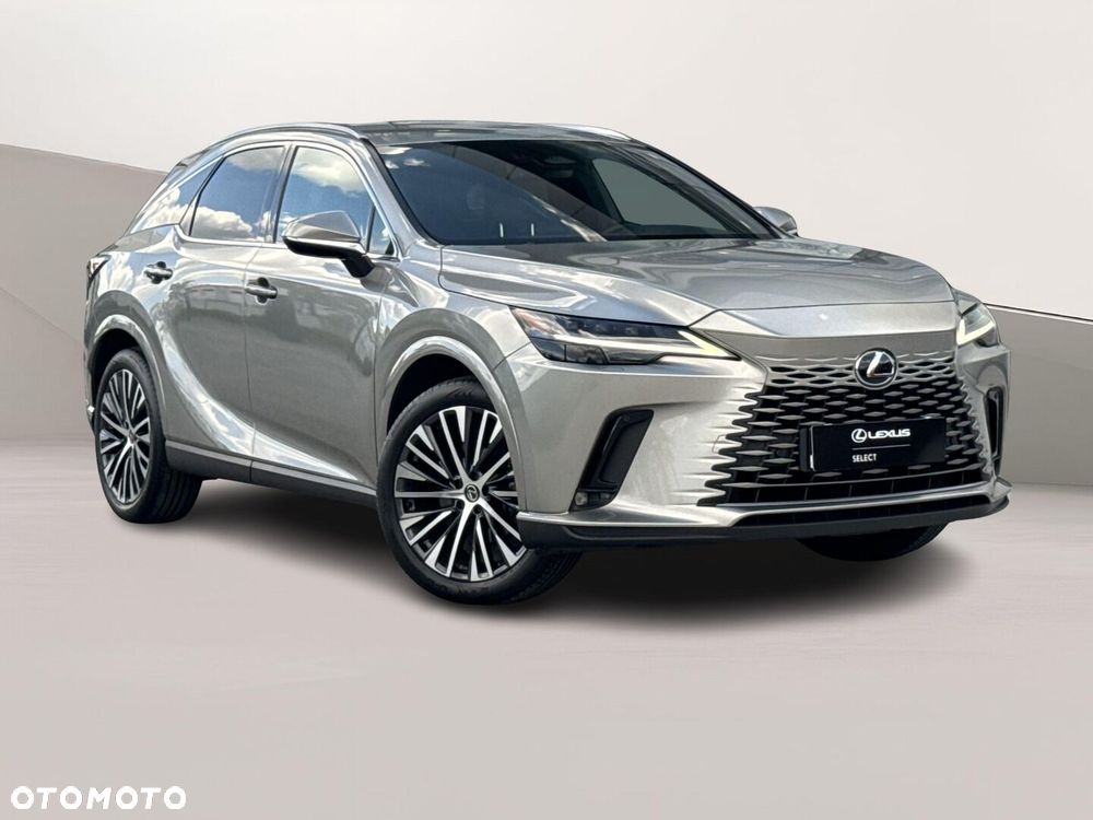 Lexus RX - 26