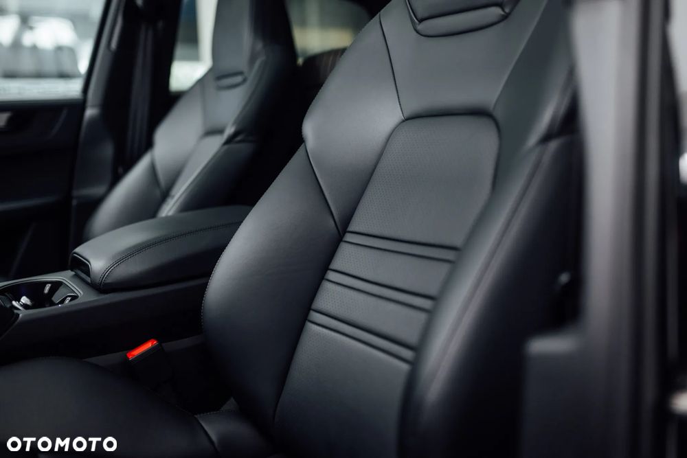Porsche Cayenne E-Hybrid - 20