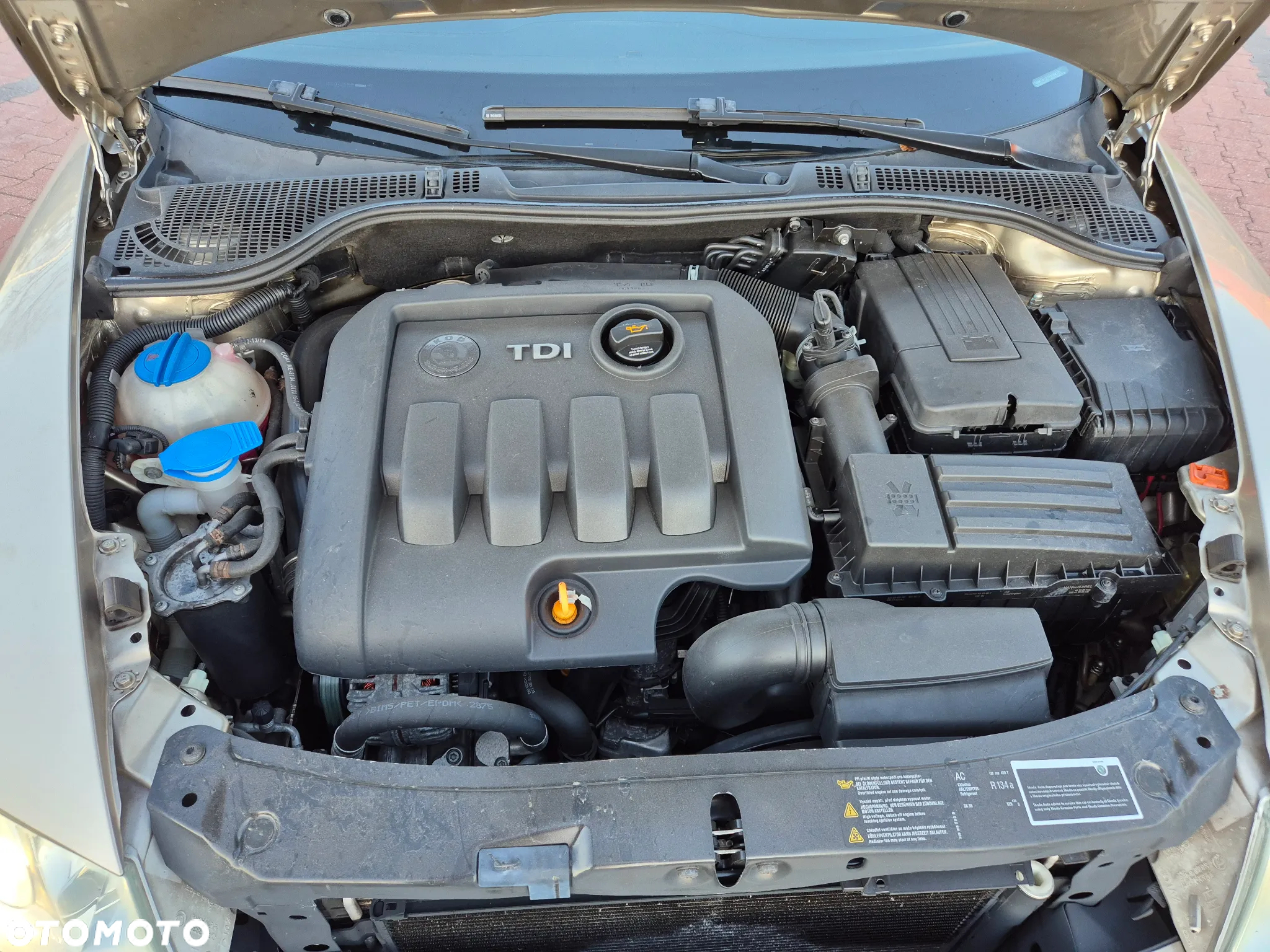 Skoda Octavia 1.9 TDI 4x4 Elegance - 23