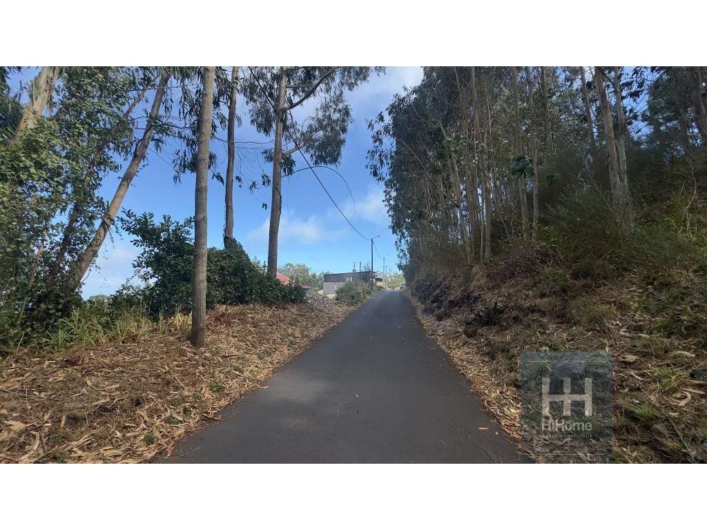 Terreno na Camacha com 2.340 m2 com PIP aprovado para construção de... - Grande imagem: 3/13