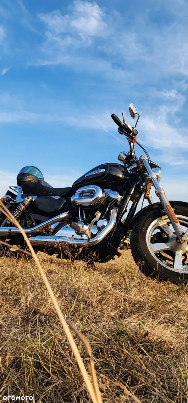 Harley-Davidson Sportster Custom 1200C - 2