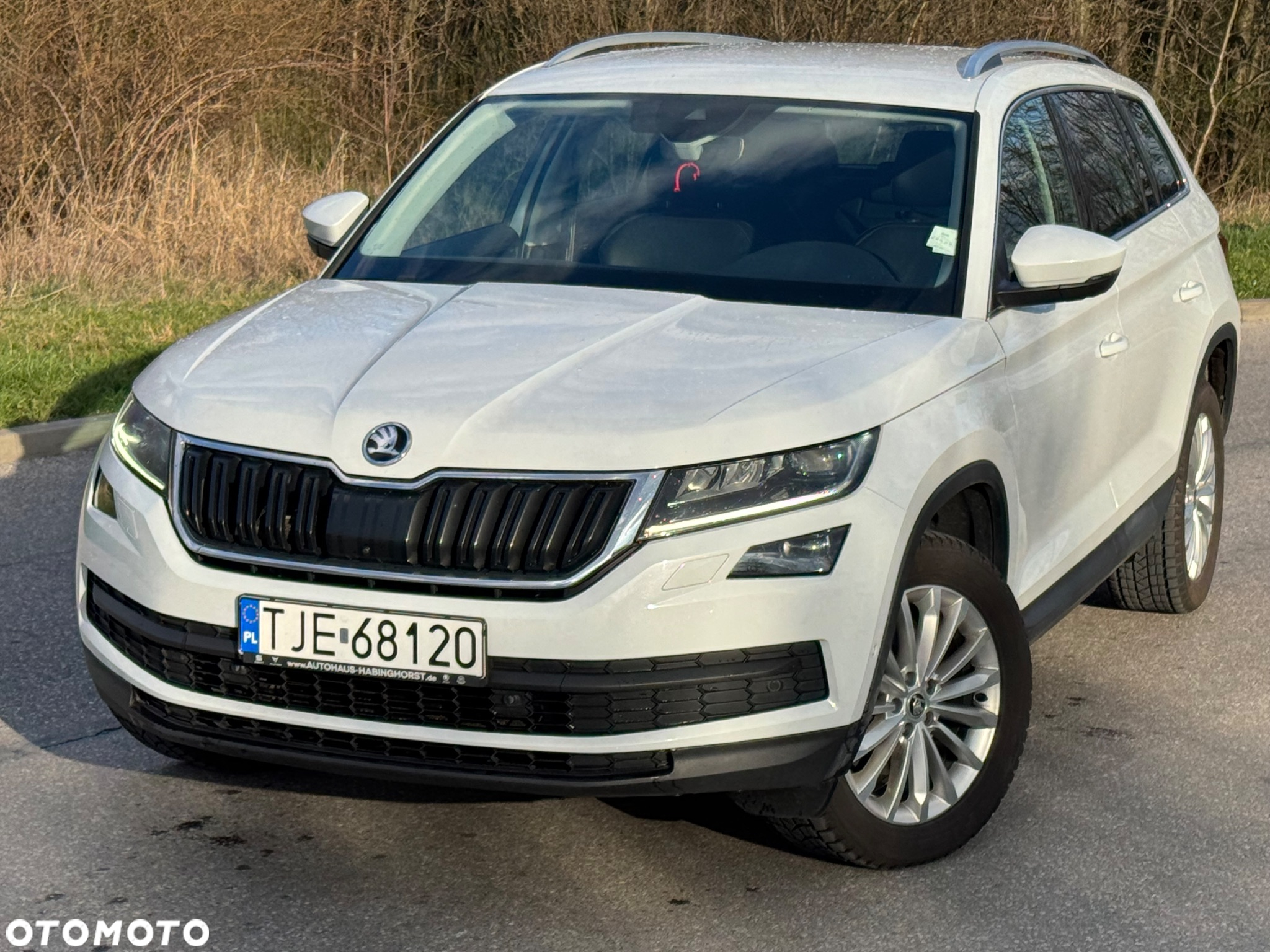 Skoda Kodiaq - 4