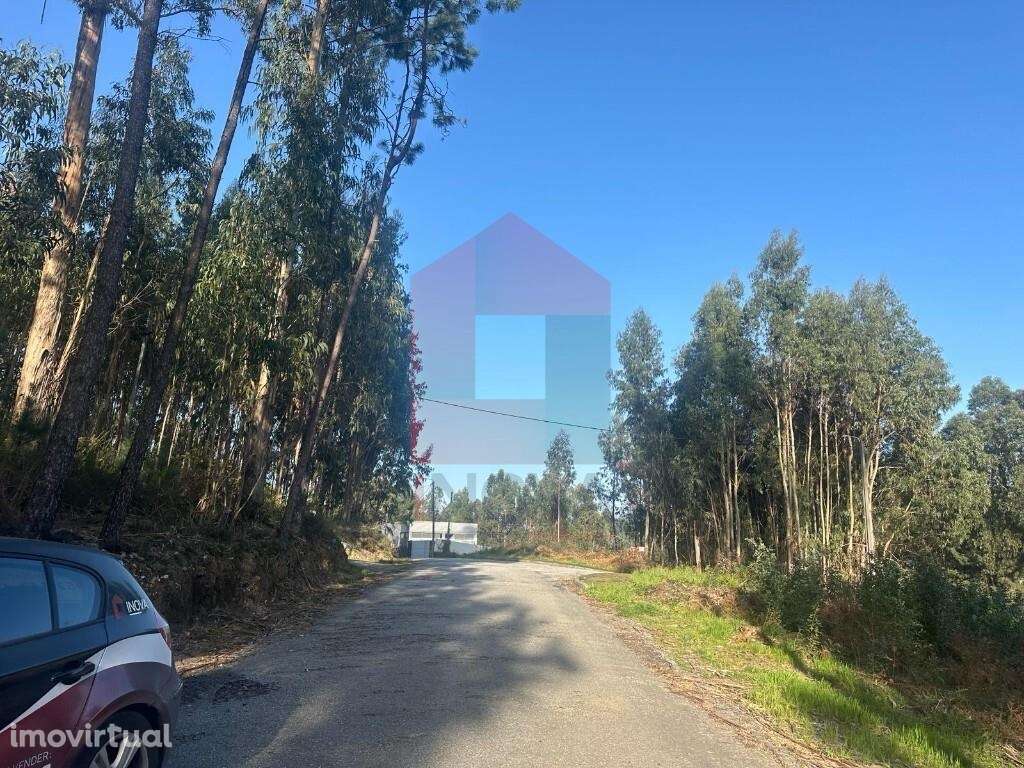 Terreno agrícola de produção, Portela das Cabras - Grande imagem: 4/19