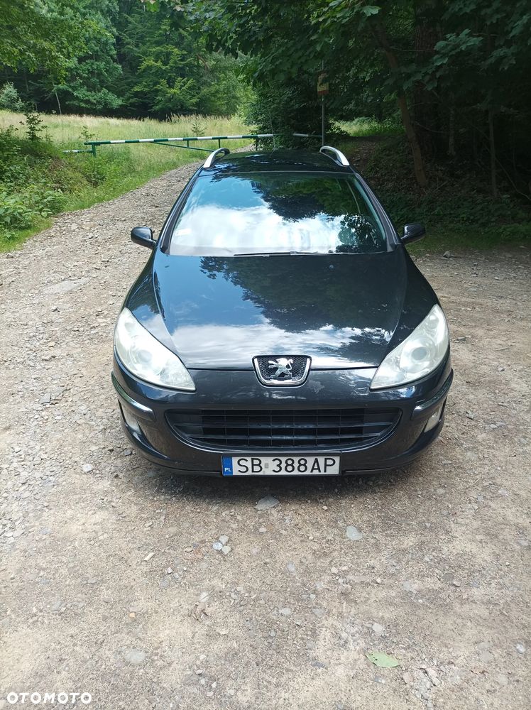 Peugeot 407 - 7