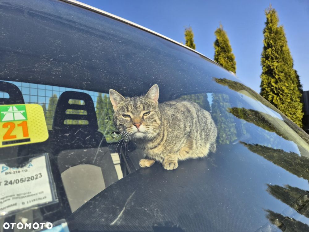 Iveco 35c15 3.0 150KM - 22