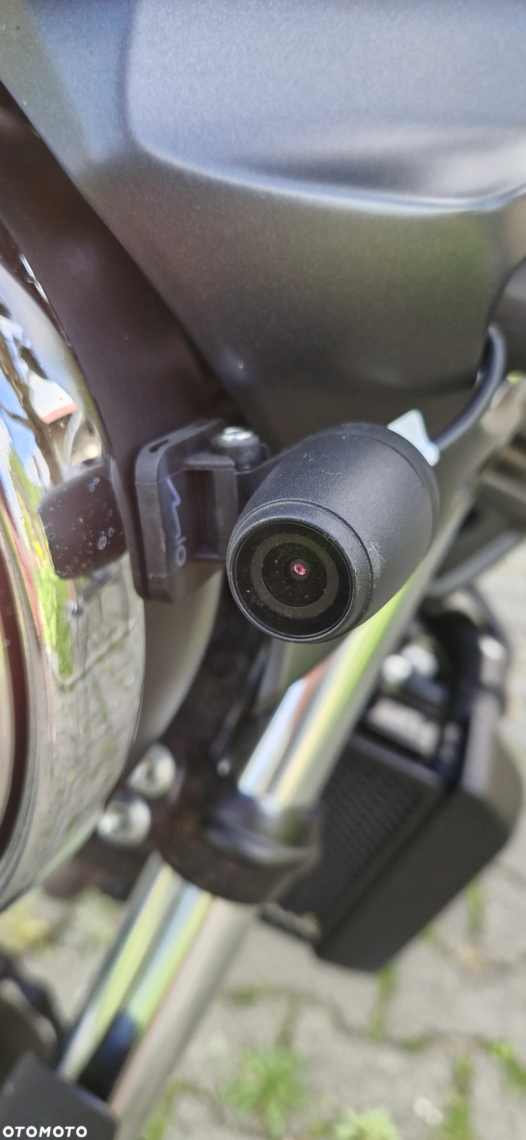 Suzuki SV - 8