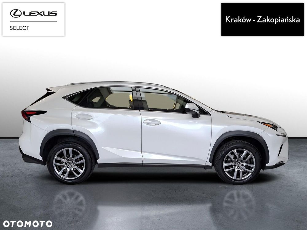 Lexus NX 300 Elegance Optimum AWD - 7