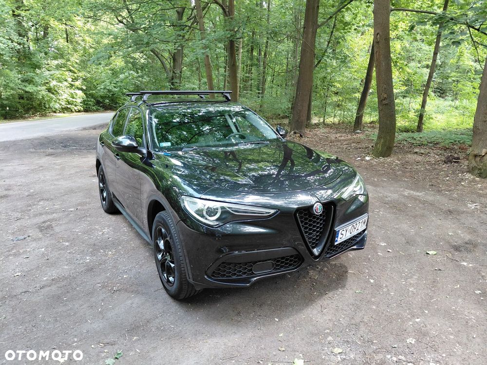 Alfa Romeo Stelvio 2.0 Turbo Super Q4 - 1