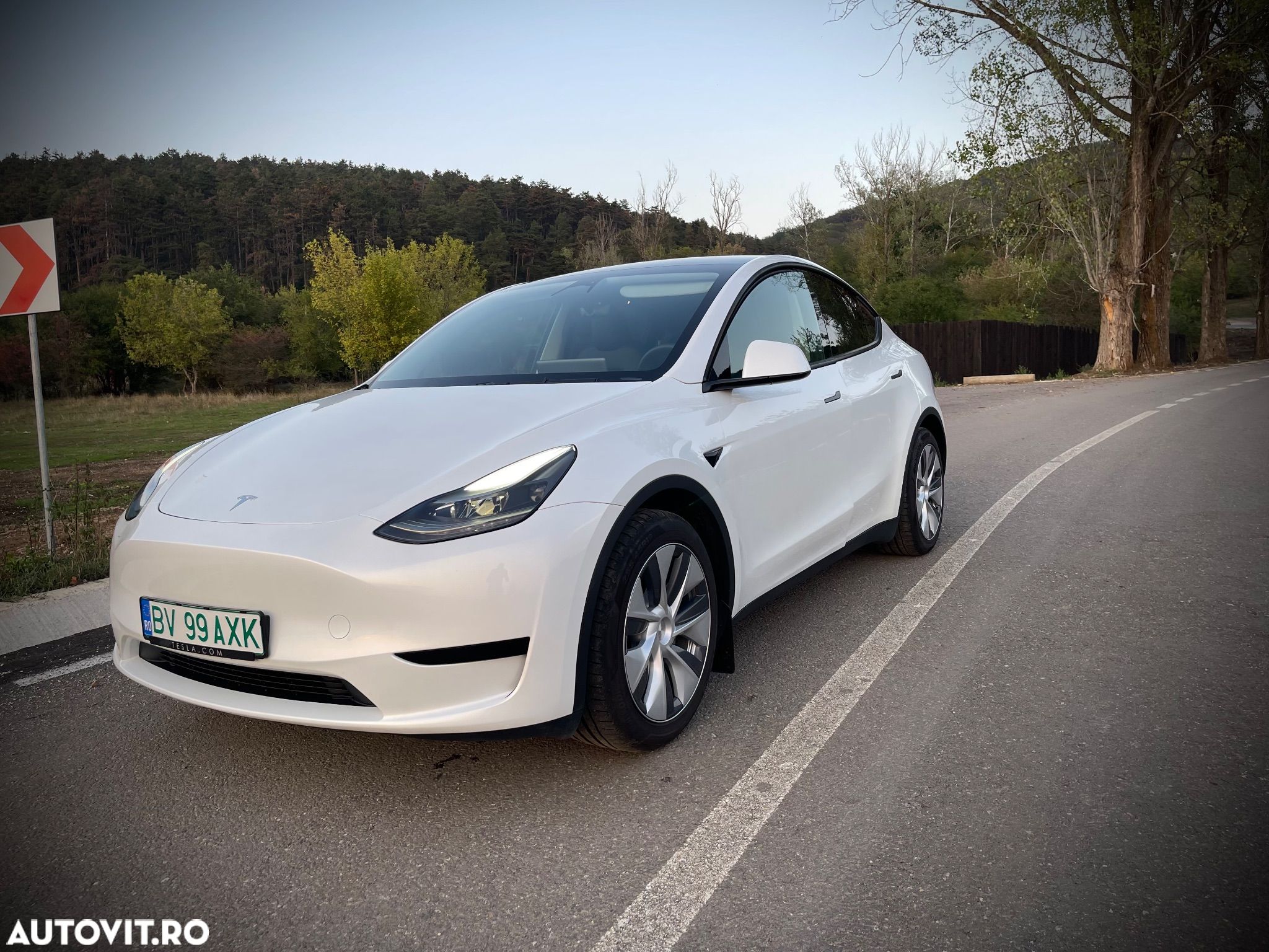 Tesla Model Y - 1