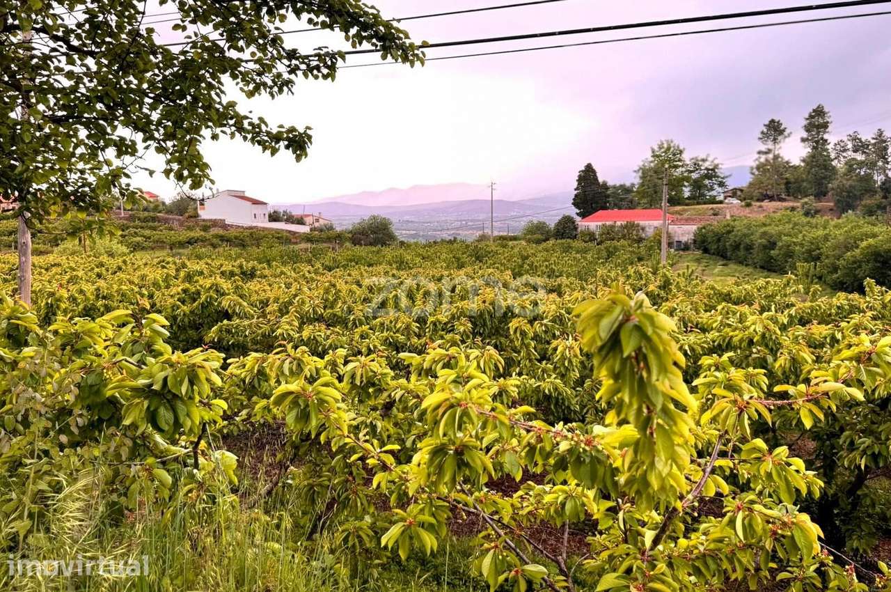 QUINTA no ALCAIDE – FUNDÃO
