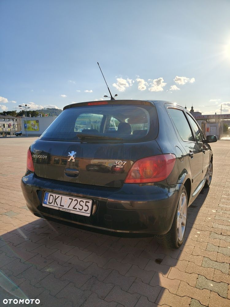 Peugeot 307 - 4