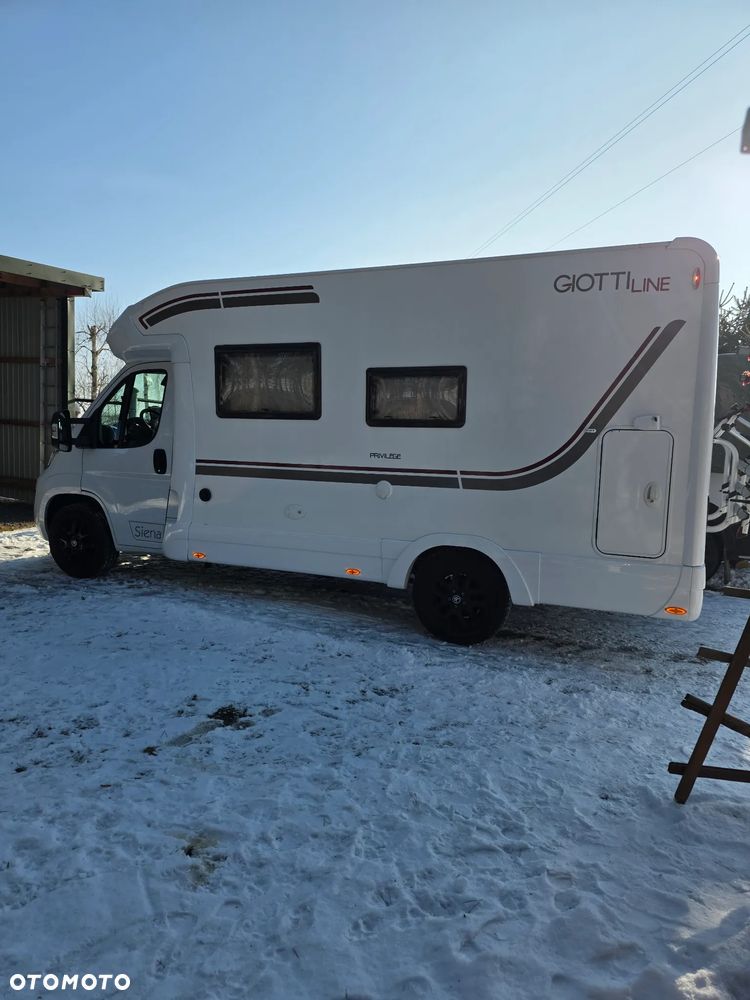 Giottiline Siena - 3