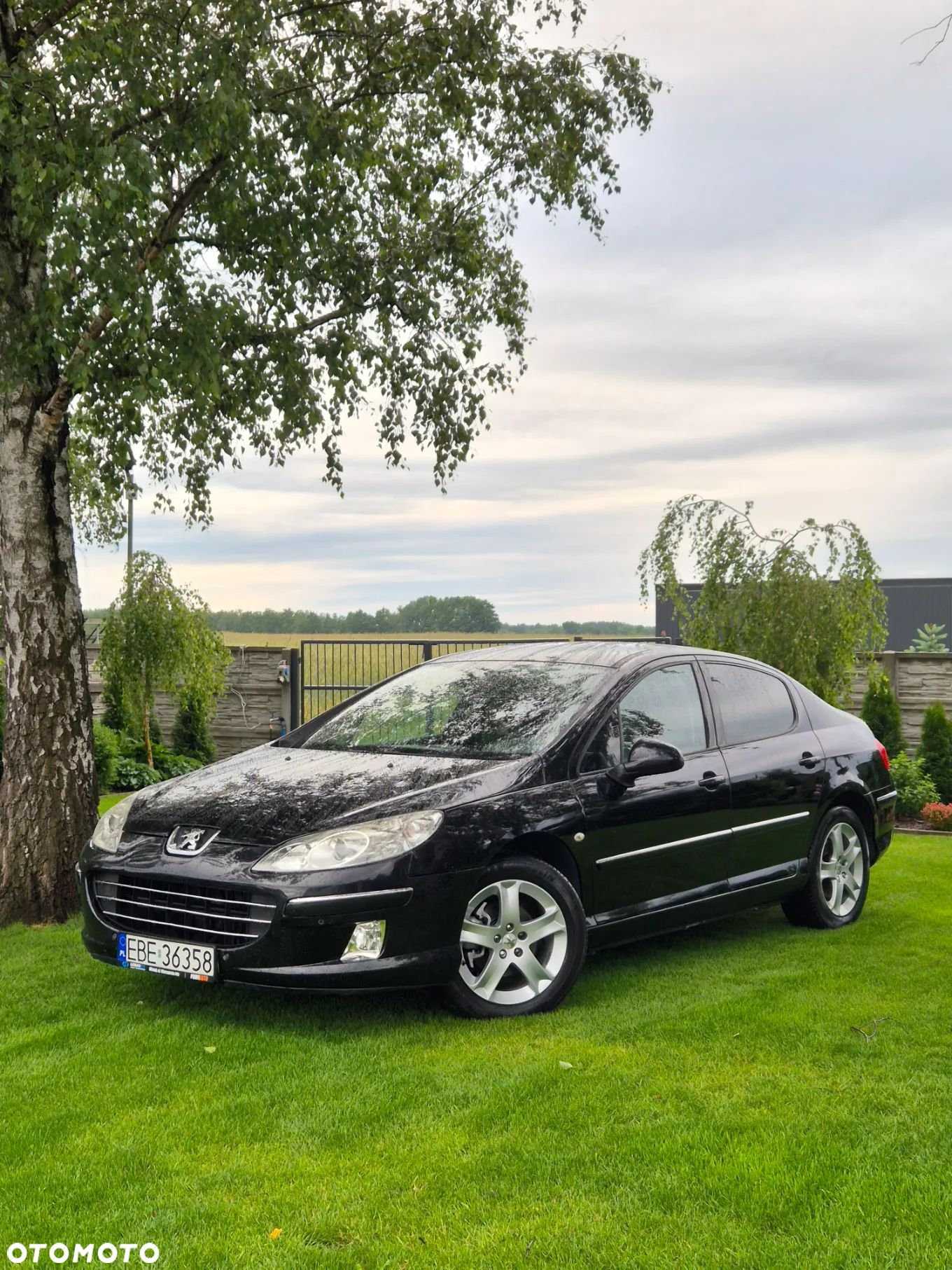Peugeot 407 SW HDi 140 Platinum - 1