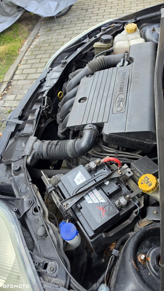 Ford Fiesta - 10