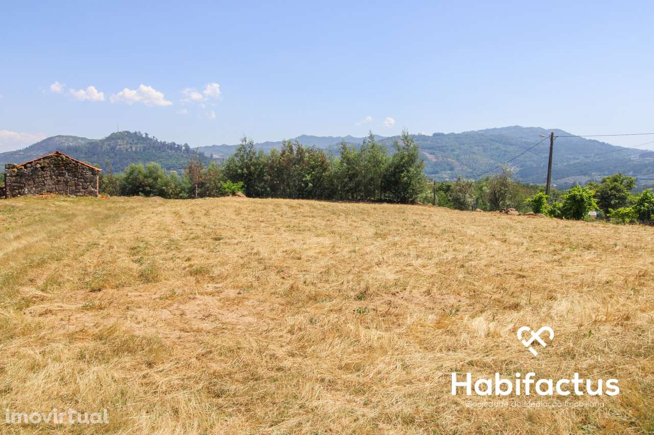 Quintinha T3 A 5 minutos das Termas de  S. Pedro do Sul - Grande imagem: 3/30