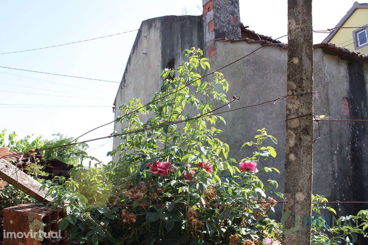 Moradia - Grande imagem: 5/9