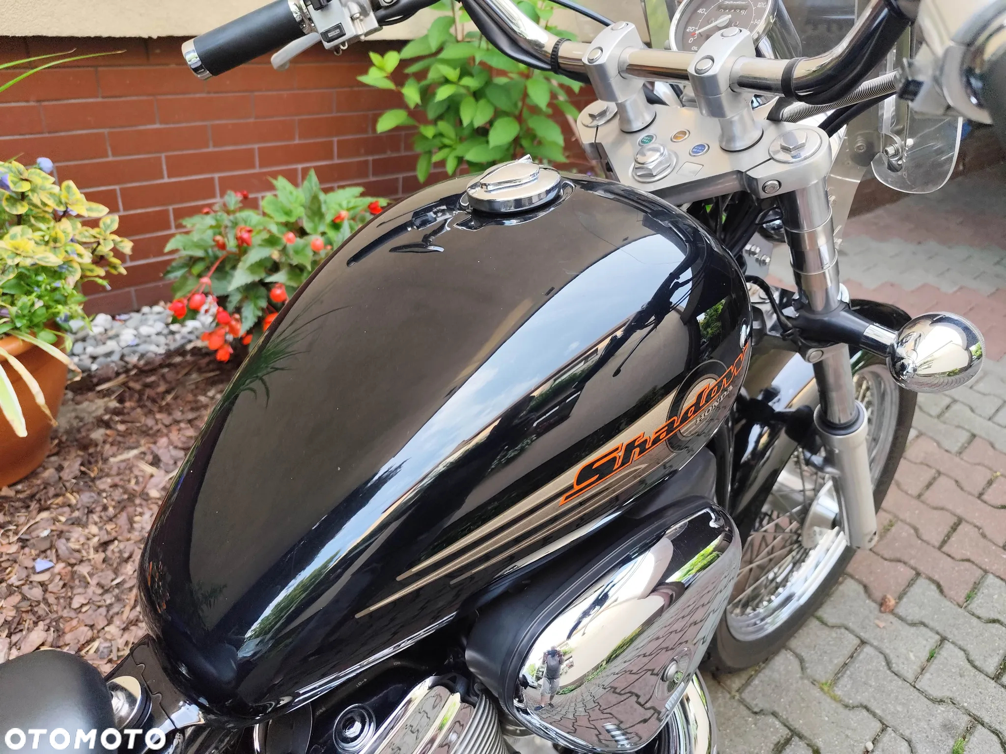 Honda Shadow - 12