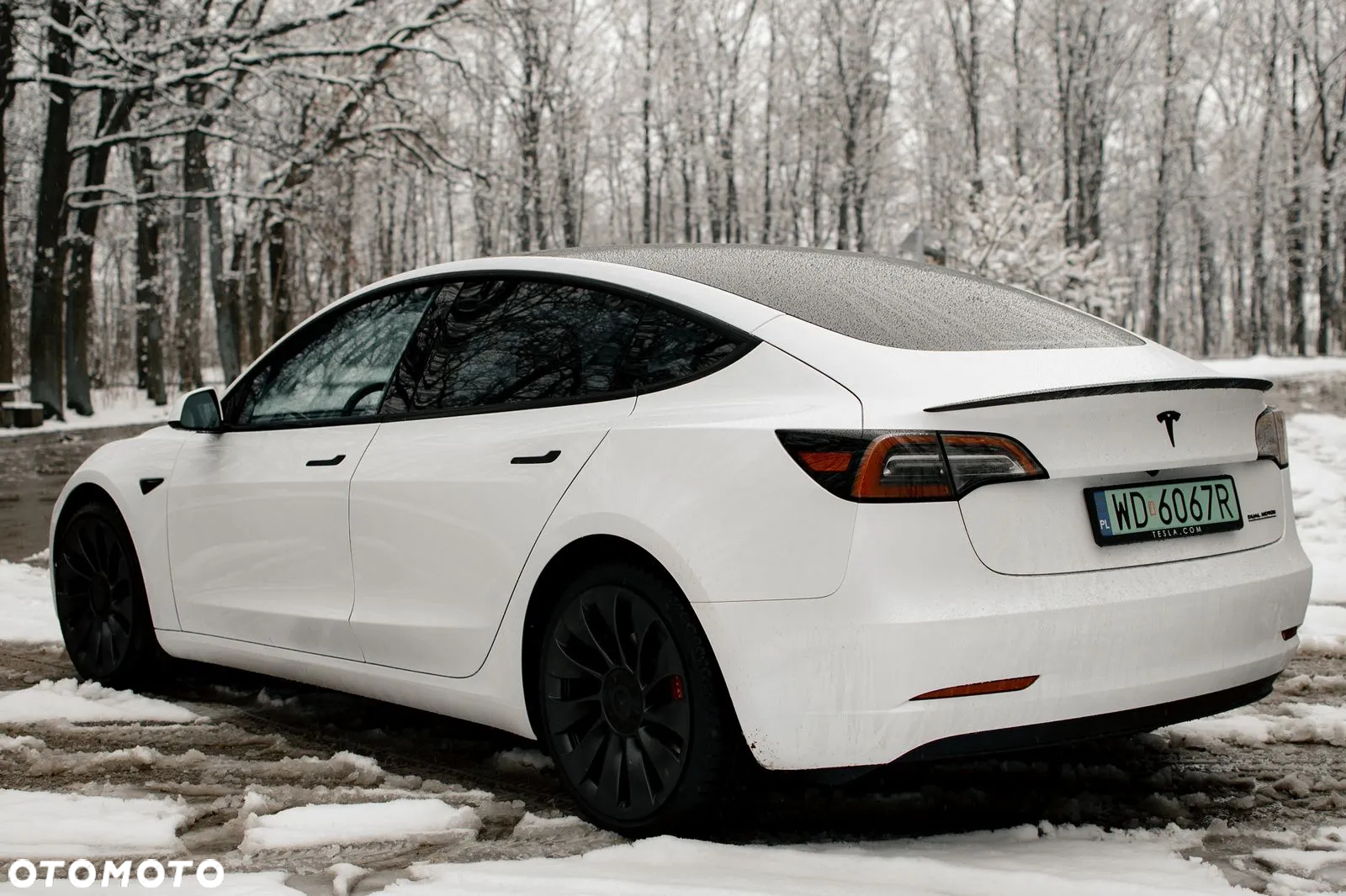 Tesla Model 3 Performance AWD - 13