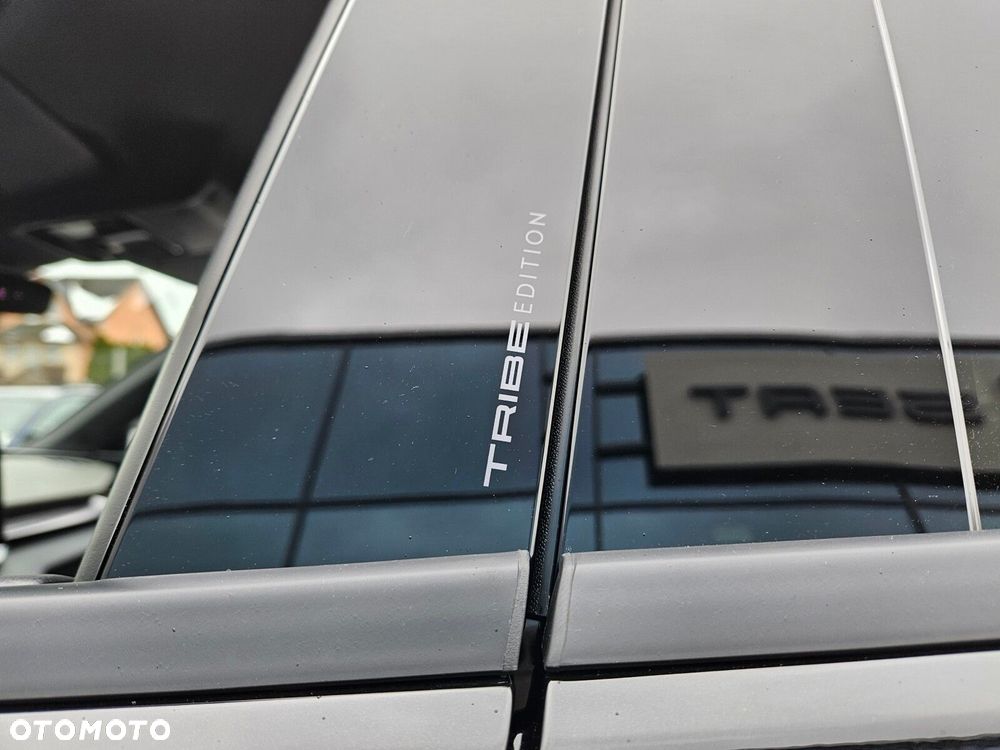 Cupra Terramar 2.0 TSI 4Drive Tribe Edition DSG - 14