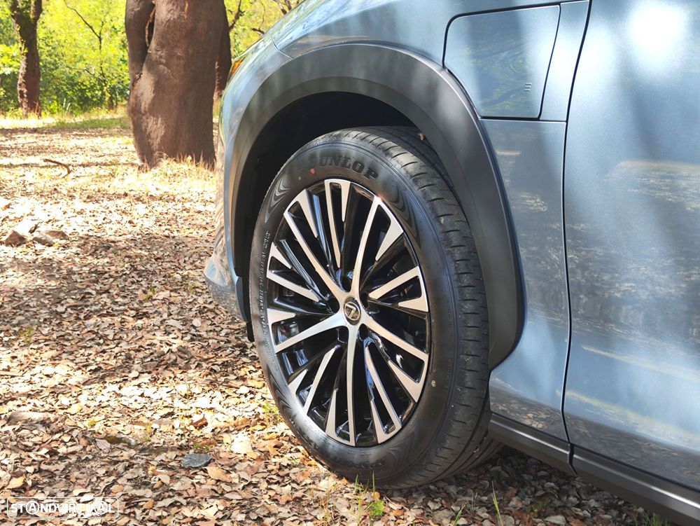 Lexus RZ 300e Premium - 18